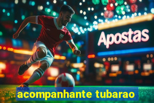 acompanhante tubarao